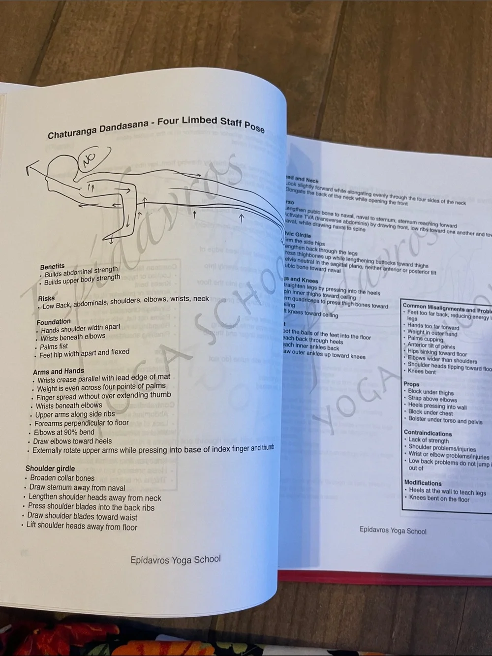 Yoga School Notes, Therapeutic Yoga, Trauma recovery, Anatomy, Asana Manual